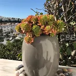 Beautiful Townhouse In Carvoeiro (Lagoa)