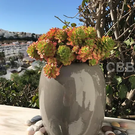 Beautiful Townhouse In Καρβοέιρο
